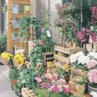 生花店の事例